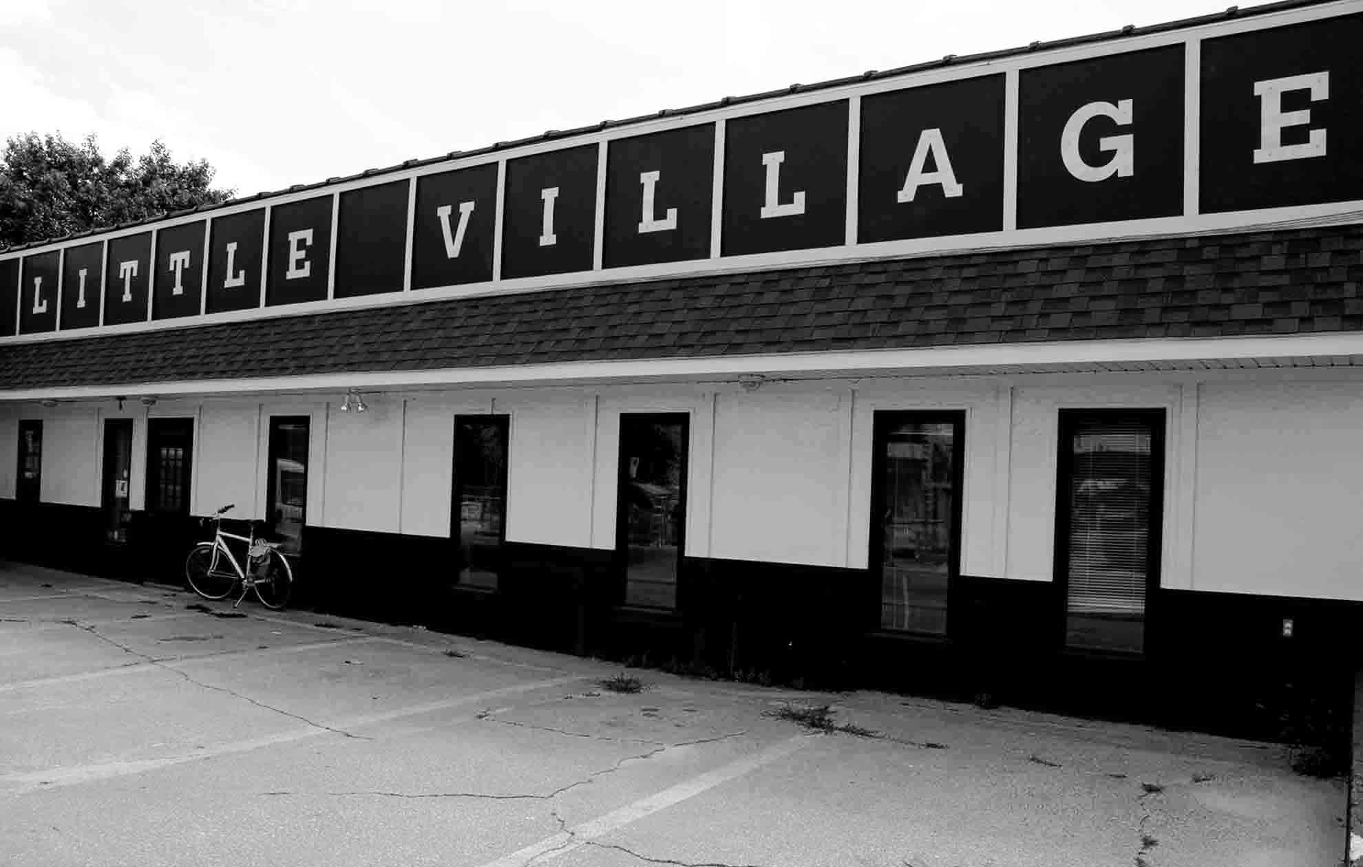 Little Village Artists Action Network